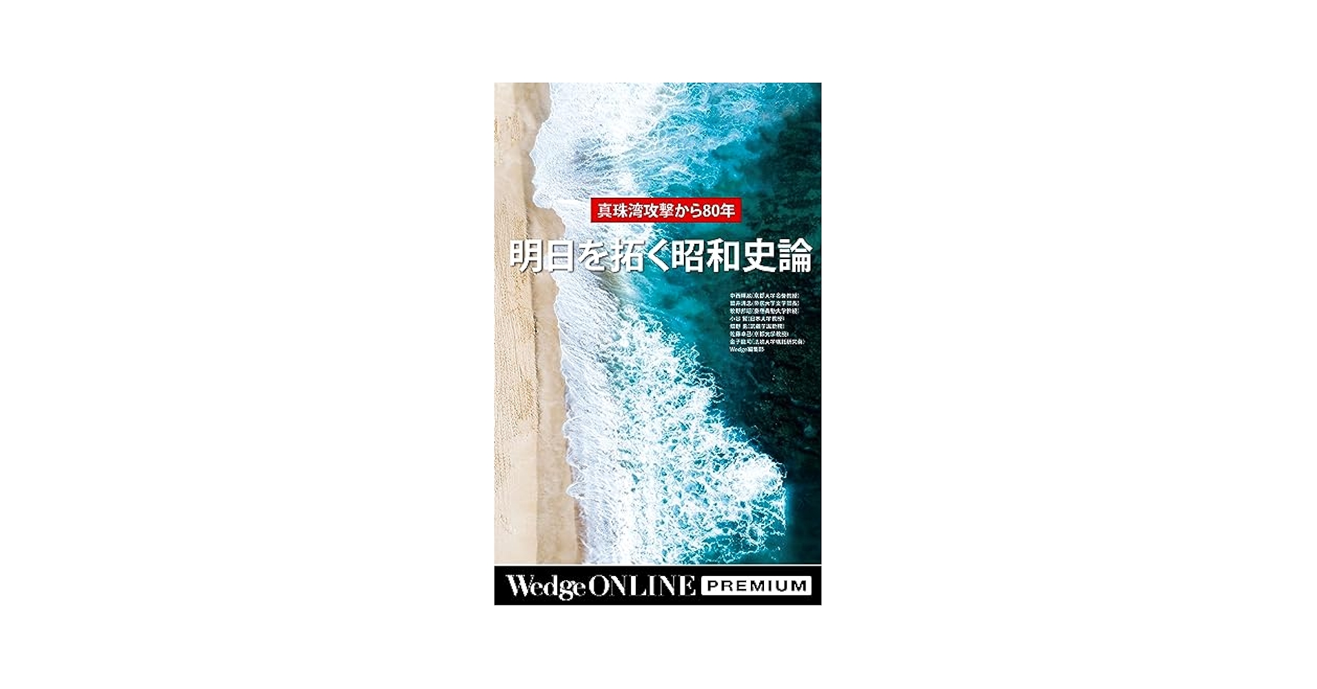 ❷ ヒバ ( 岩松 ） 首長最上株物 ３０年以上 新株が出て居ます ➁ ヒバ ( 岩松 ） 首長最上株物 30年以上 新株が出て居ます